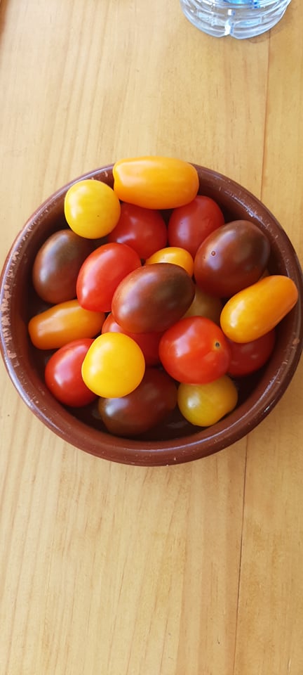 TOMATE CEREZA ARCOIRIS para picar 50 semillas