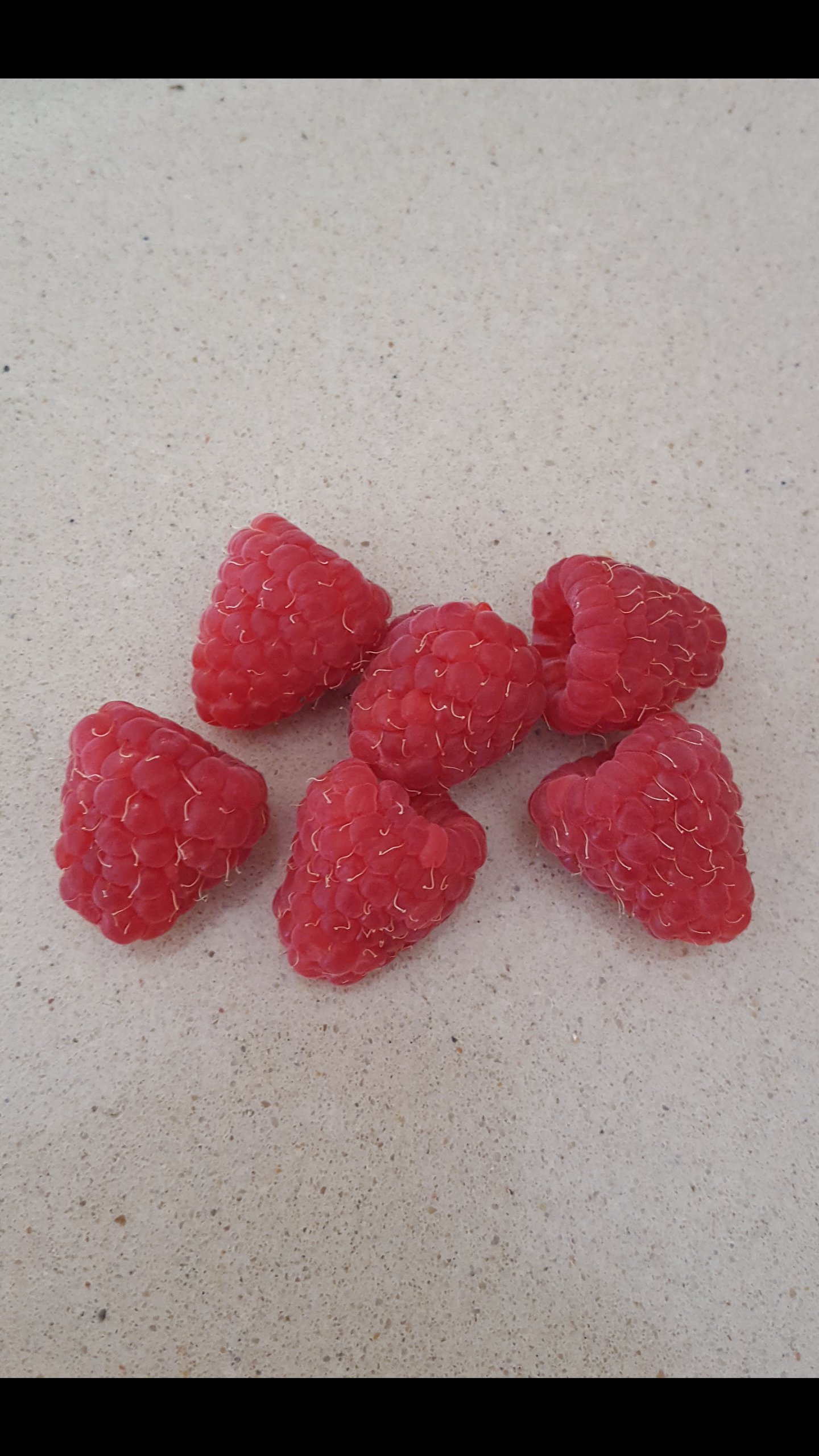 FRAMBUESA rubus idaeus - raspberry - delicioso FRUTO DE BOSQUE 100 semillas 