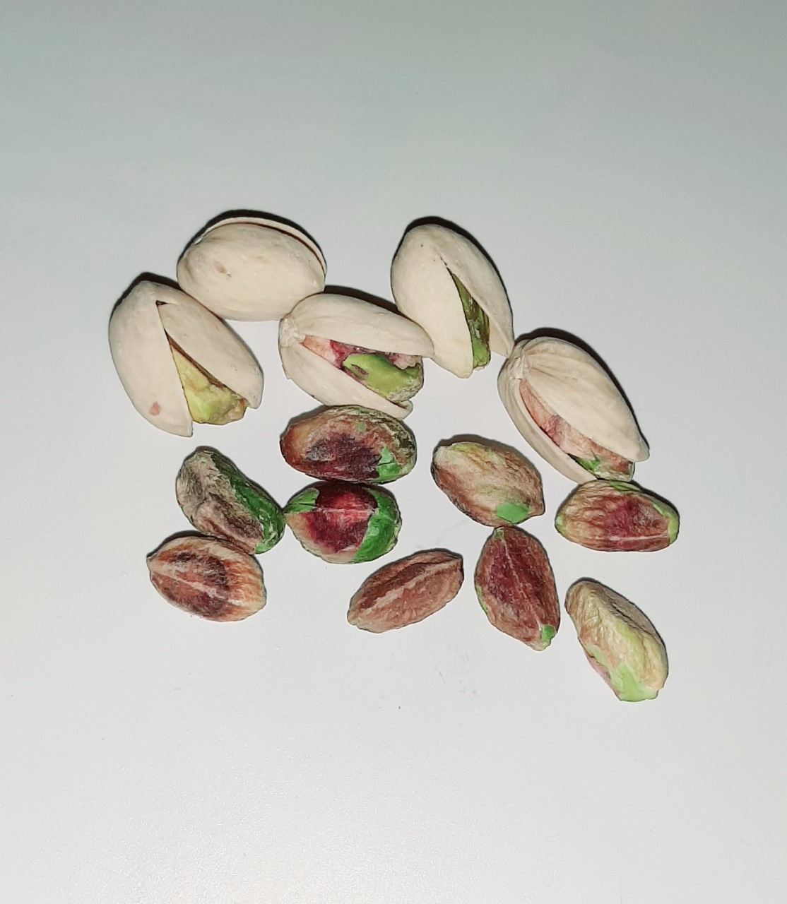 PISTACHO  ( PISTACIA VERA ) 3 semillas  seeds