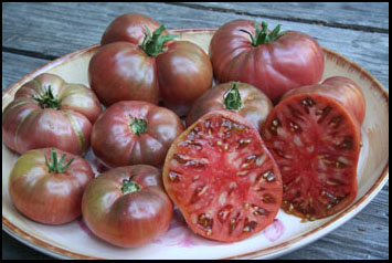 TOMATE   tradicional CHEROKEE  purpura  30 semillas